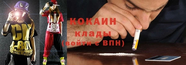 индика Волоколамск