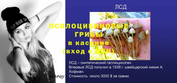марихуана Володарск
