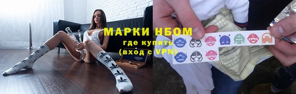 индика Волоколамск