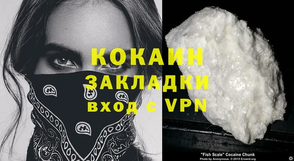 индика Волоколамск