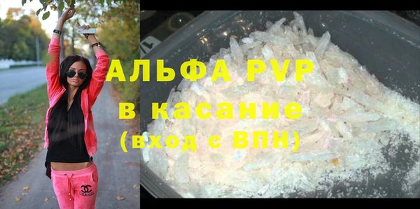 индика Волоколамск