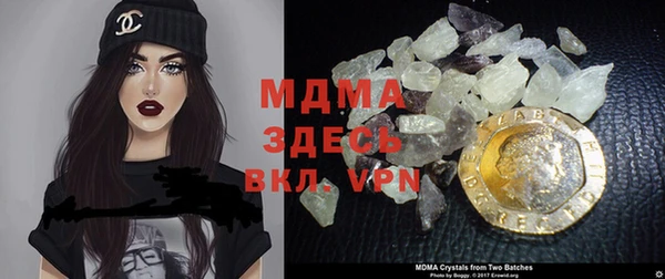 индика Волоколамск