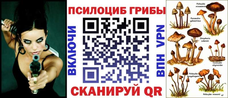 Галлюциногенные грибы прущие грибы Ельня