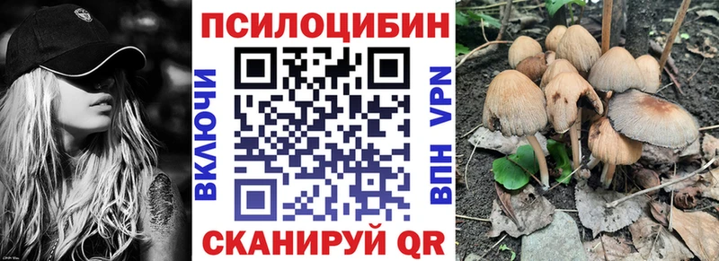 Псилоцибиновые грибы Cubensis Ельня